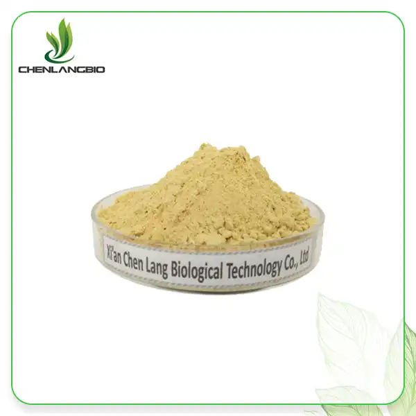 Ginger Extract Powder